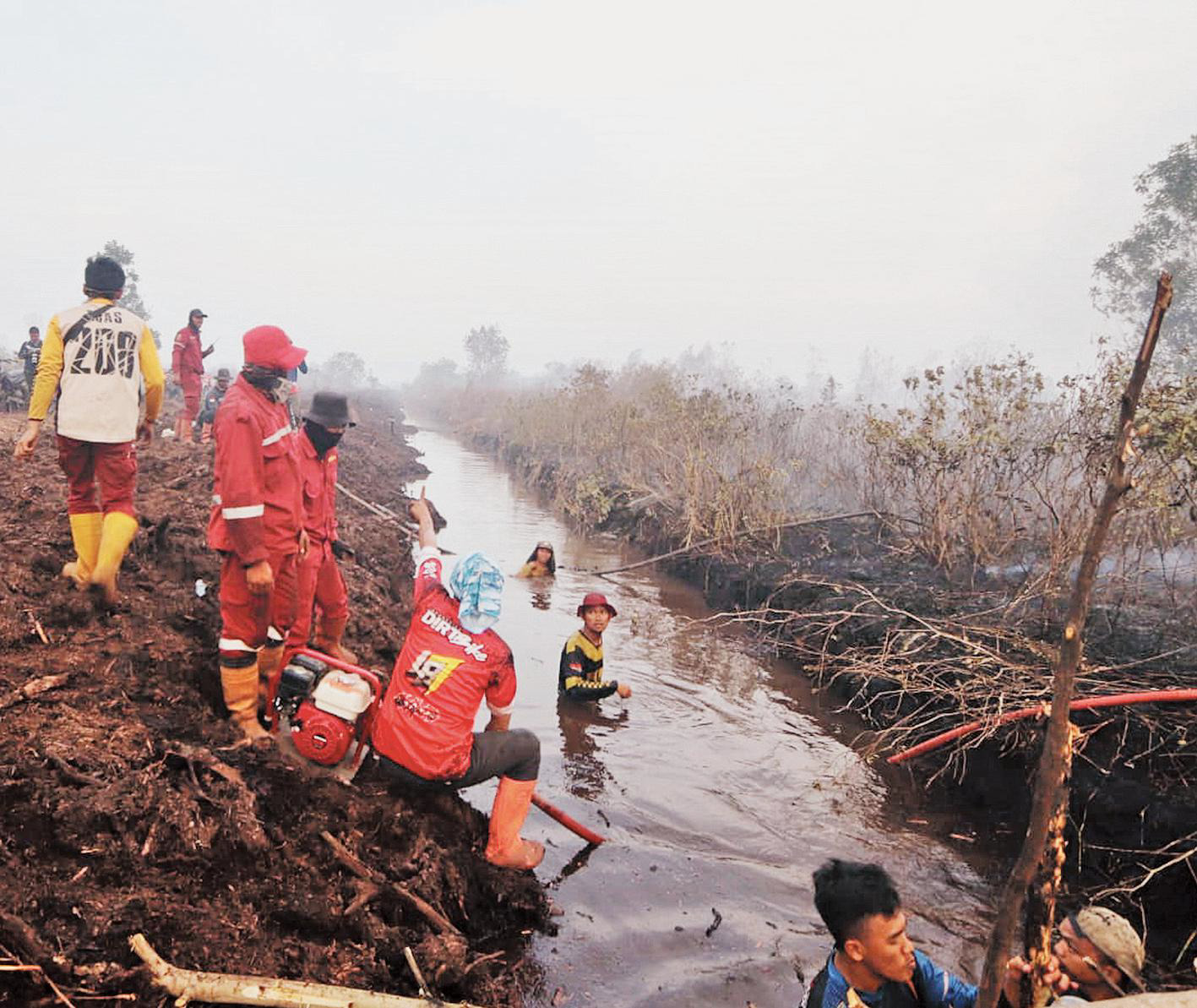 Pembasahan Gambut Solusi Permanen 5632