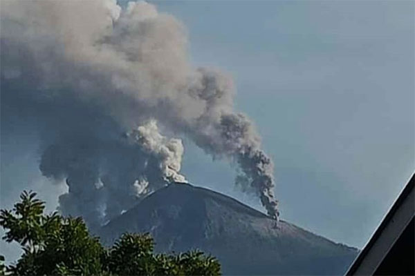 31 Orang Yang Terjebak Erupsi Lewotobi Diselamatkan