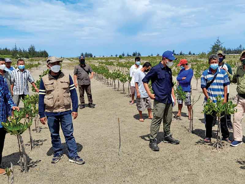 Harga Kacang Mete Bisa Menyaingi Timah